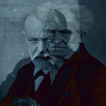 Aportes de Schopenhauer a la psiquiatría moderna.