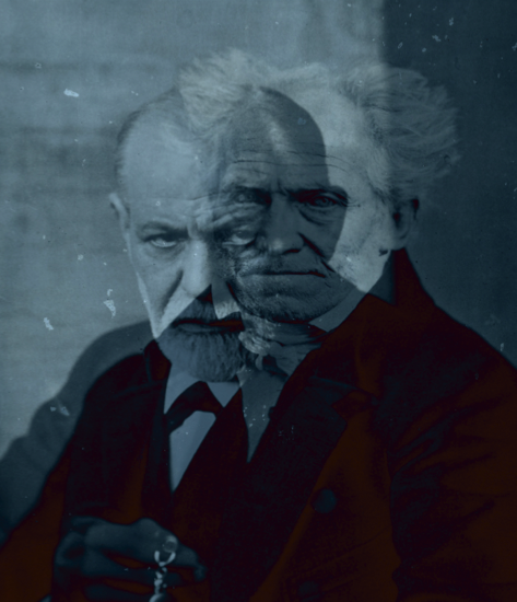 Aportes de Schopenhauer a la psiquiatría moderna.
