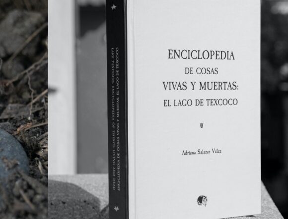Enciclopedia de cosas vivas y muertas: El Lago de Texcoco. Bajo nuestra mirada, el ocaso de un lago
