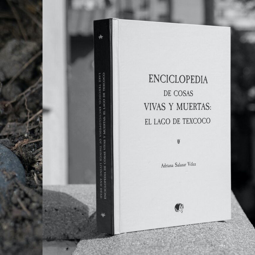 Enciclopedia de cosas vivas y muertas: El Lago de Texcoco. Bajo nuestra mirada, el ocaso de un lago
