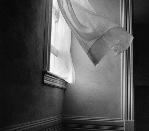 Breezy Curtains, 1978 Pospandémica, silencio y contemplación