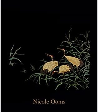 Odiseas expansivas: La Hija de Nicole Ooms